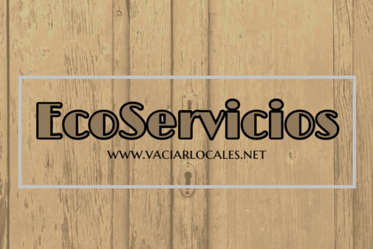Vaciado de locales La Pineda