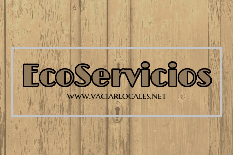 Vaciado de locales La Pineda