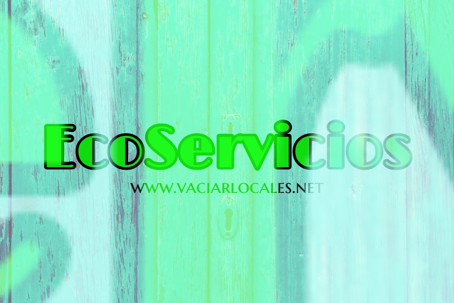 Vaciado de locales Vielha